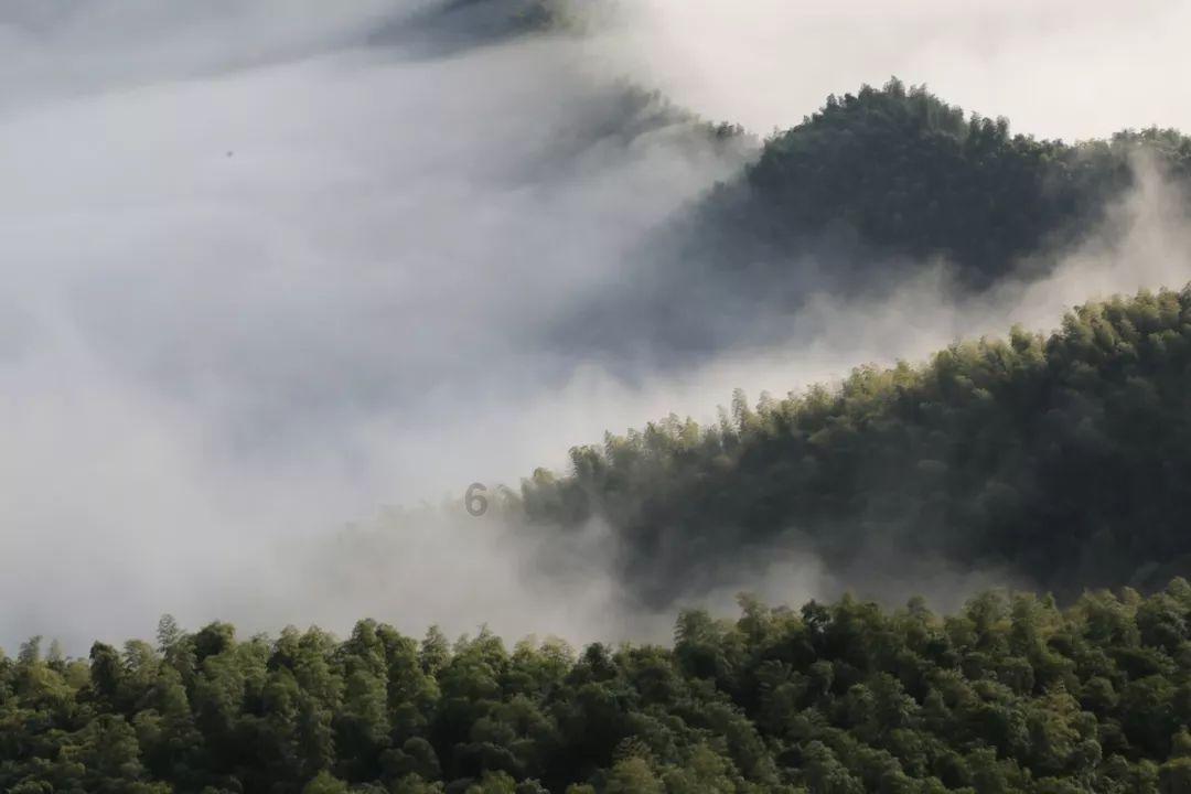 微软为teams应用引入新特性，支持用户设置昵称